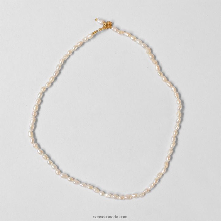 Senso Accessories Petite Pearl Choker WhiteDD2VP579