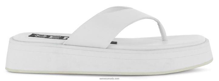 Senso Sandals Parker II IceDD2VP498