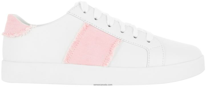 Senso Men Aviva CandyDD2VP528